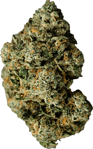 Jet Fuel Glto image 1